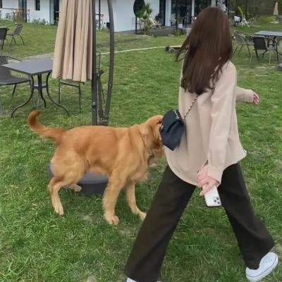 恐怖内阁